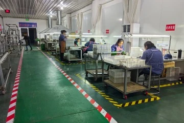 Casting Workshop